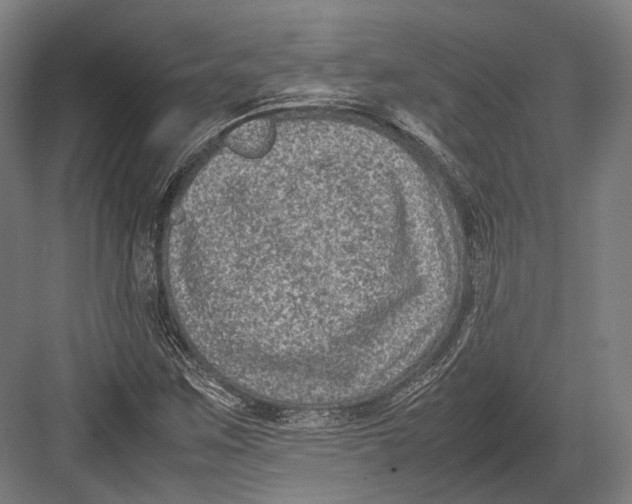 X0000082701259200702161741