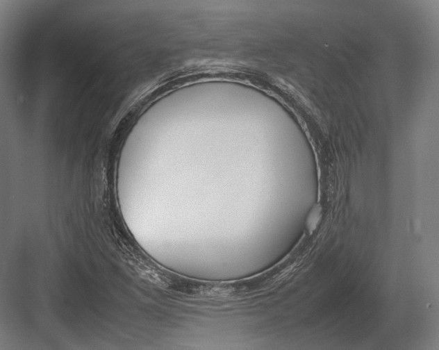 X0000082701261200702161741