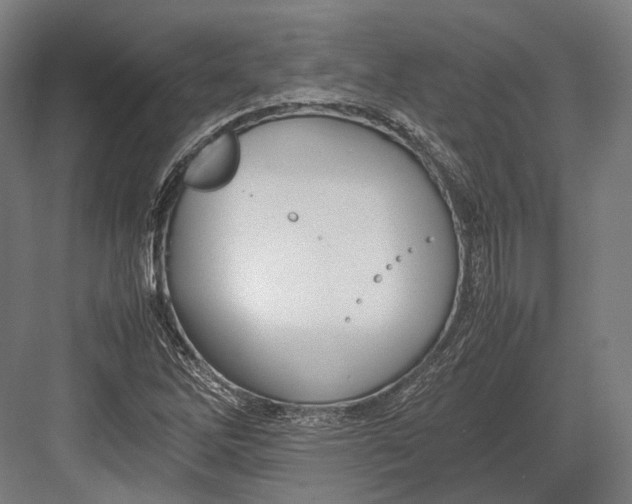 X0000082701262200702161741