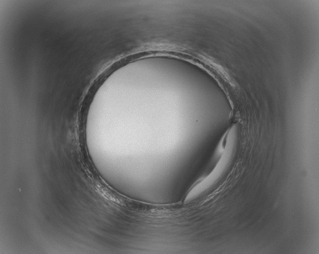 X0000082701264200702161740