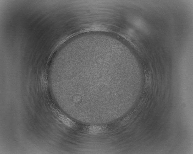 X0000082701266200702161740