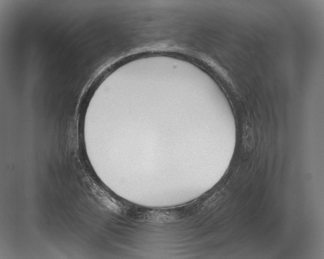 X0000082701270200702161740