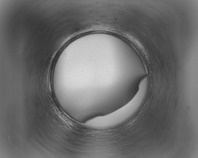 X0000082701272200702161740