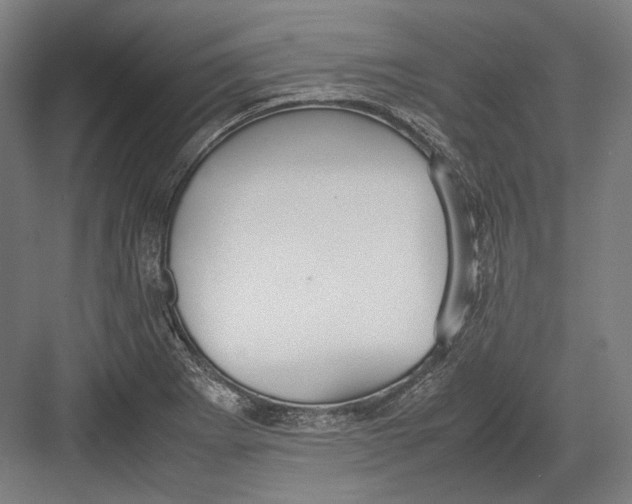 X0000082701273200702161740