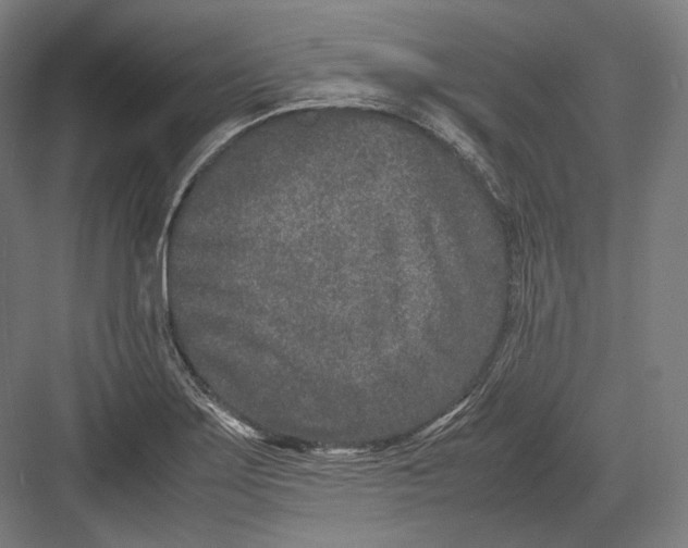 X0000082701275200702161740