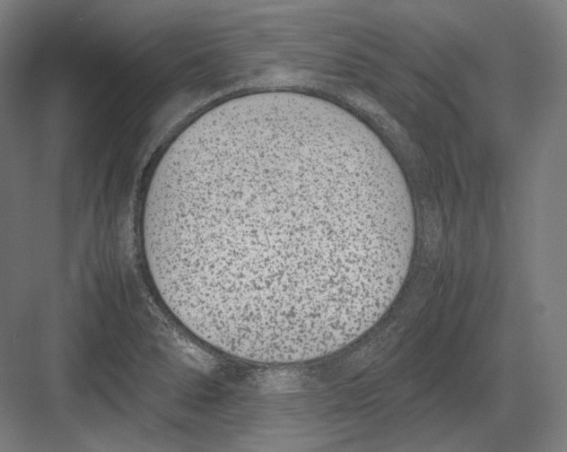 X0000082701278200702161740