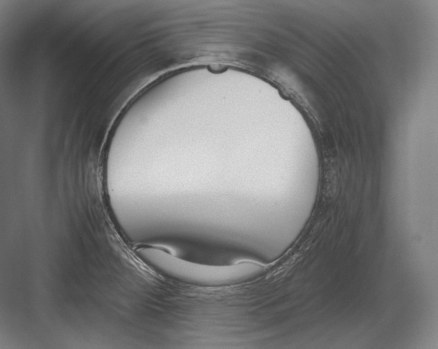 X0000082701284200702161740