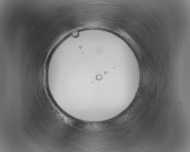 X0000082701286200702161740