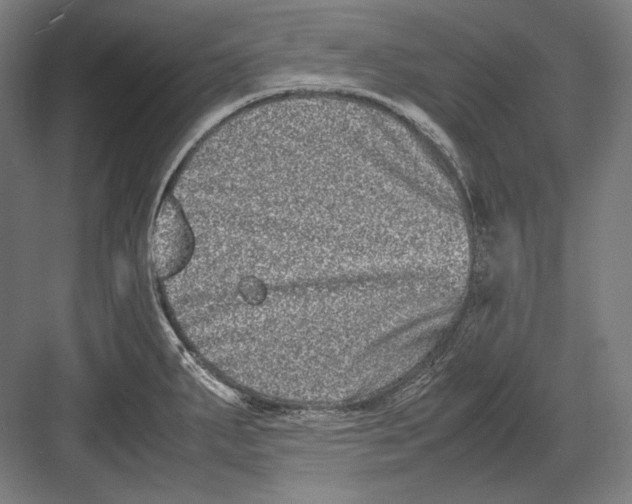 X0000082701287200702161740