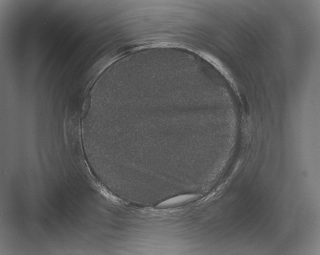 X0000082701289200702161740