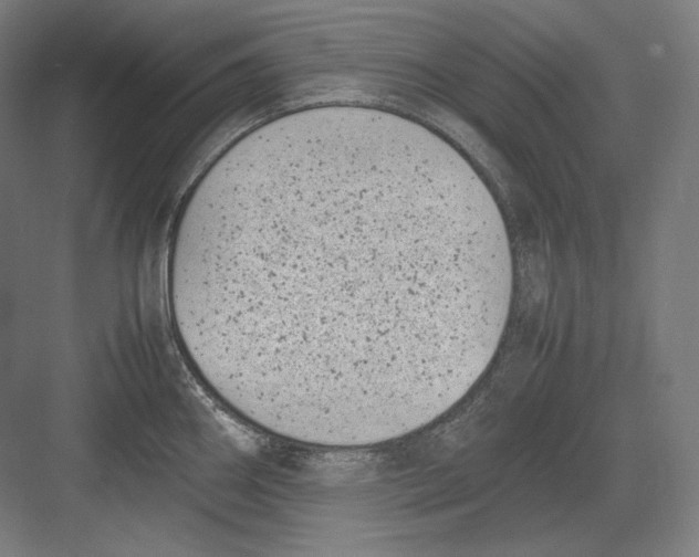 X0000082701290200702161740