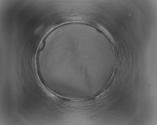 X0000082701291200702161740