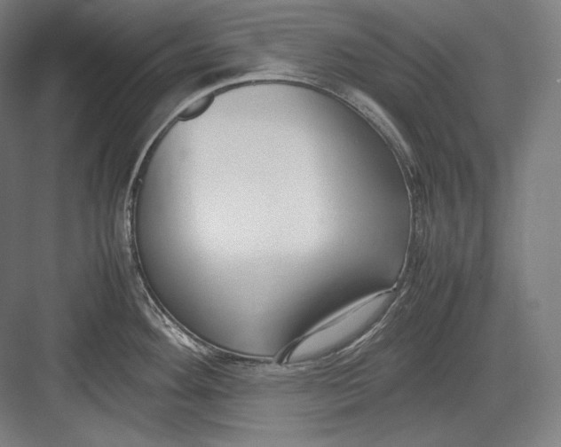 X0000082701292200702161740