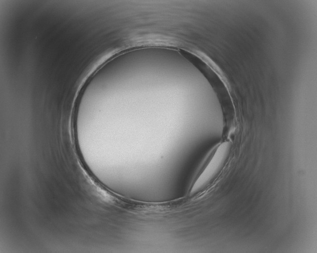 X0000082701293200702161740