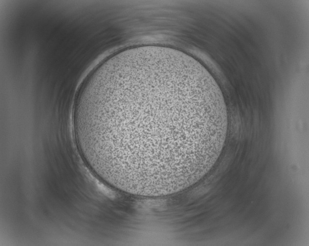 X0000082701294200702161740