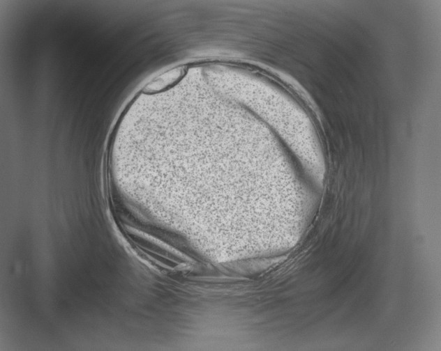 X0000082701295200702161740