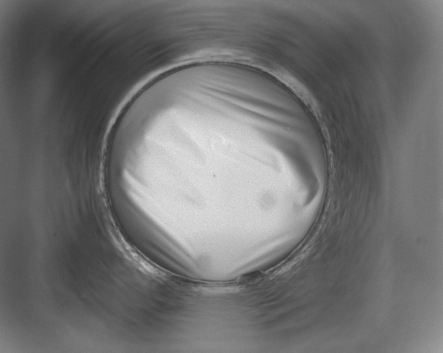 X0000082701296200702161740