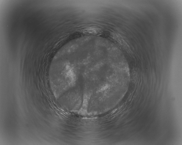 X0000082701297200702161739