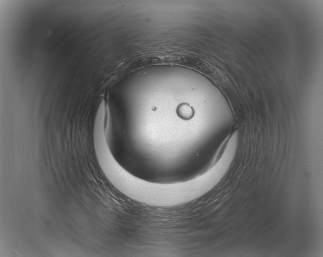 X0000082701298200702161739