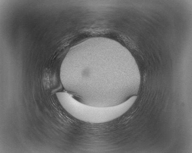 X0000082701300200702161739