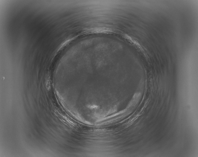 X0000082701306200702161739