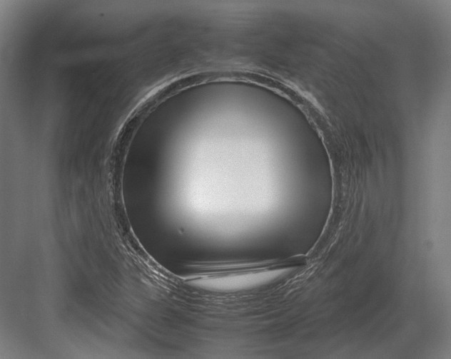 X0000082701311200702161739