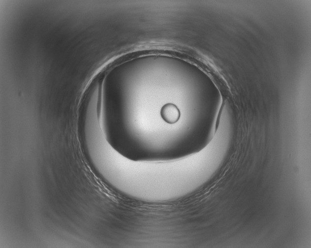 X0000082701312200702161739