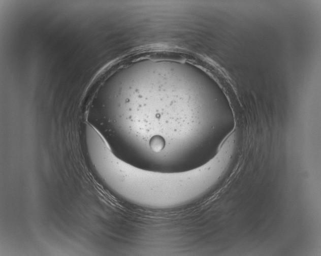 X0000082701314200702161739