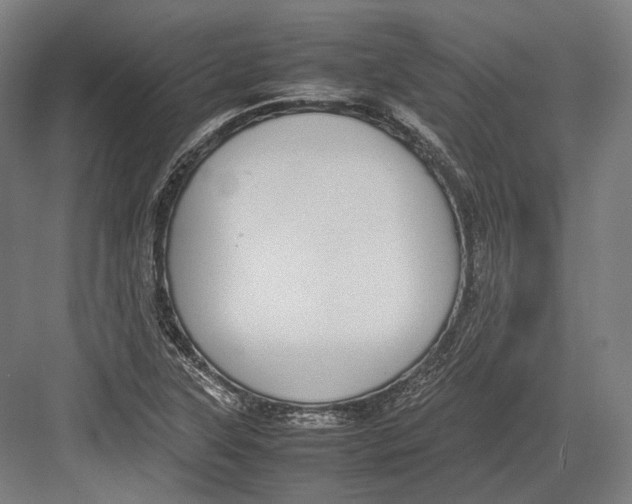 X0000082701315200702161739