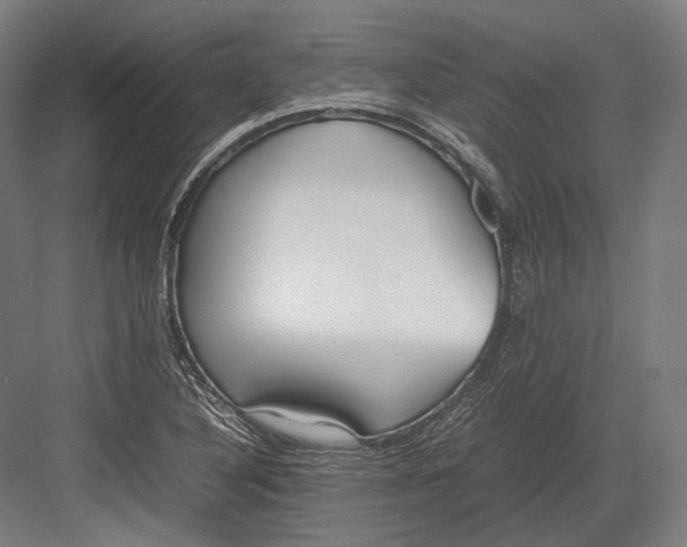 X0000082701316200702161739