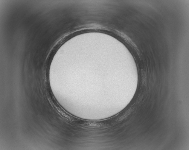 X0000082701318200702161739