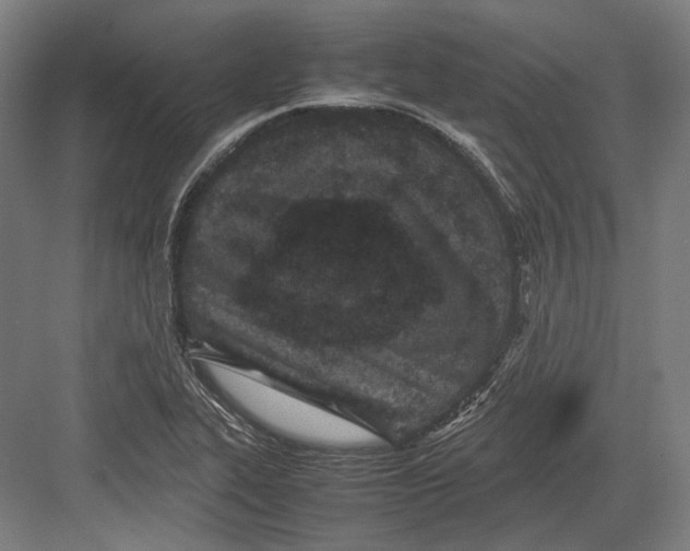 X0000082701319200702161740