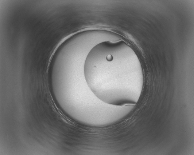 X0000082701320200702161740