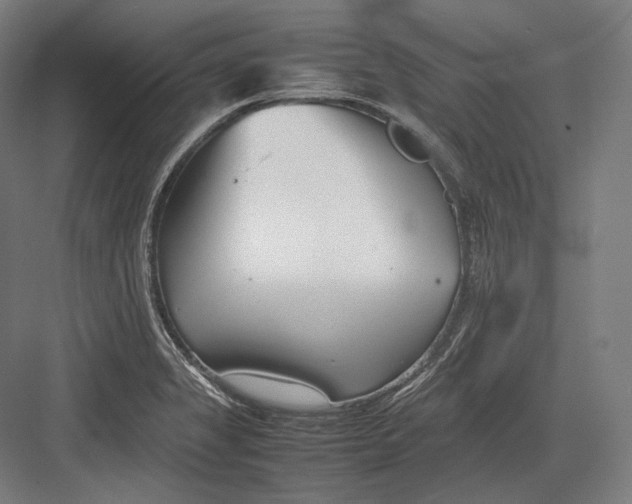 X0000082701325200702161740