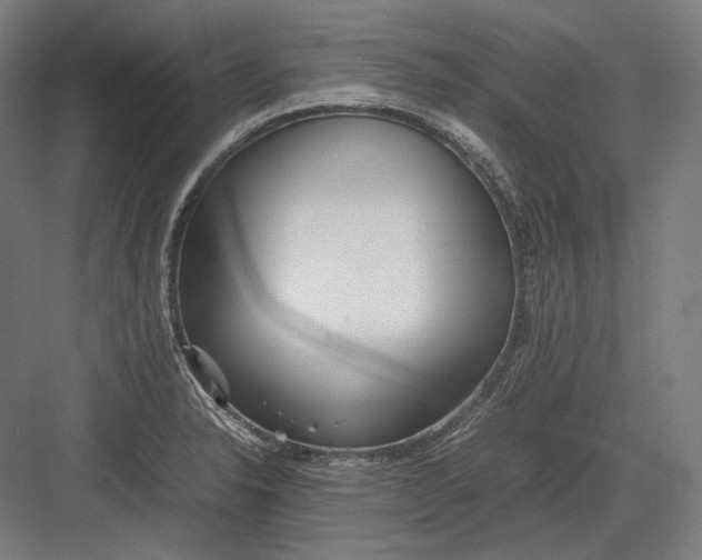 X0000082701326200702161740