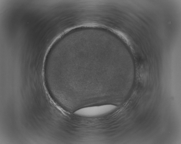 X0000082701327200702161740