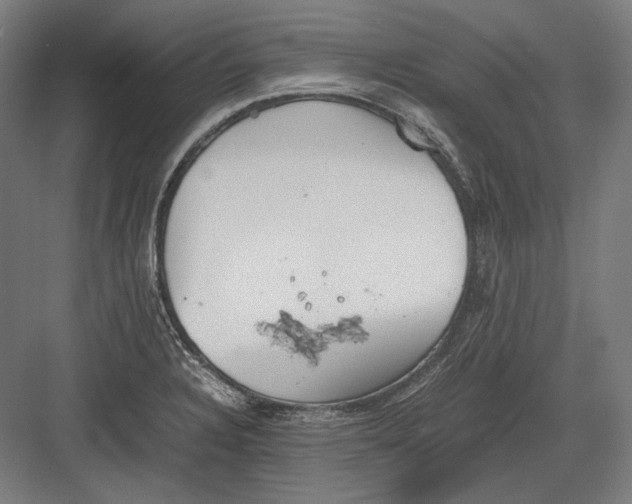 X0000082701328200702161740