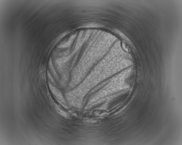 X0000082701329200702161740