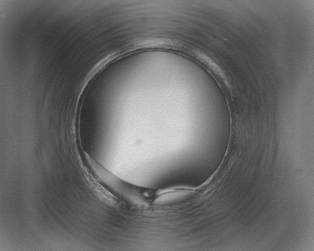 X0000082701330200702161740