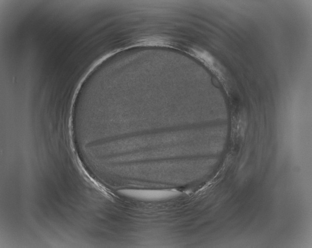 X0000082701331200702161740