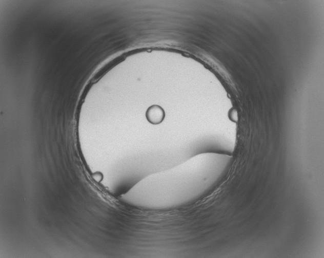 X0000082701332200702161740