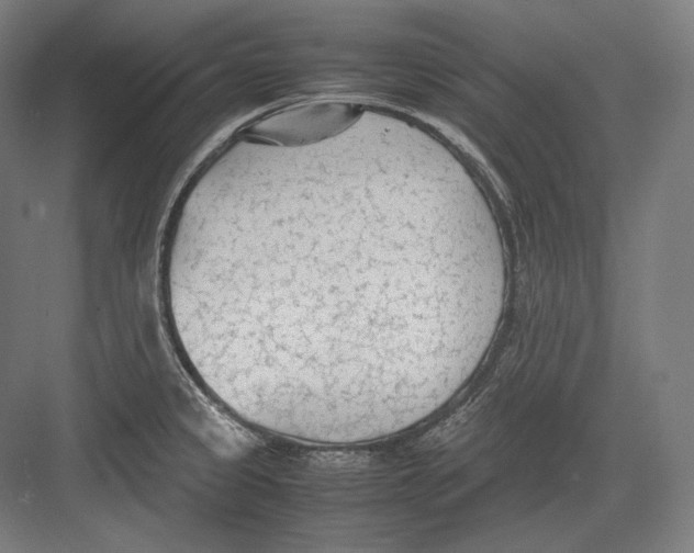 X0000082701333200702161740