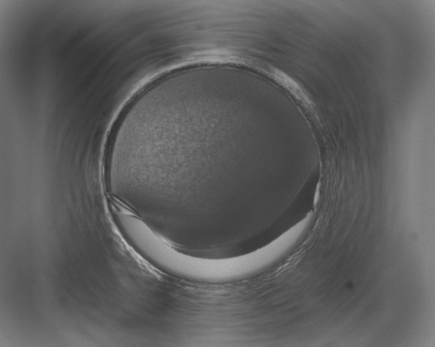 X0000082701334200702161740