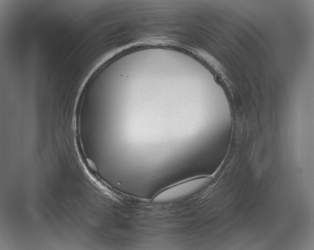 X0000082701335200702161740