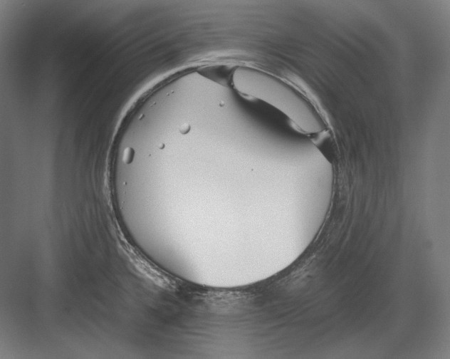 X0000082701336200702161740