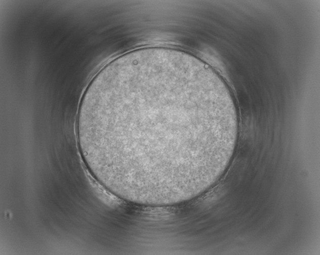 X0000082701338200702161740