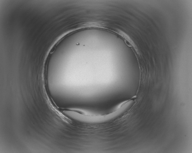 X0000082701339200702161740