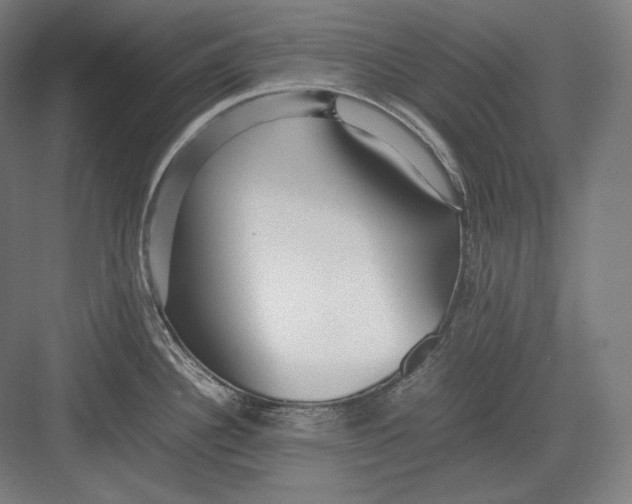 X0000082701340200702161740