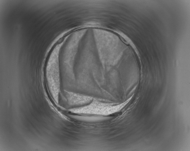 X0000082701341200702161740