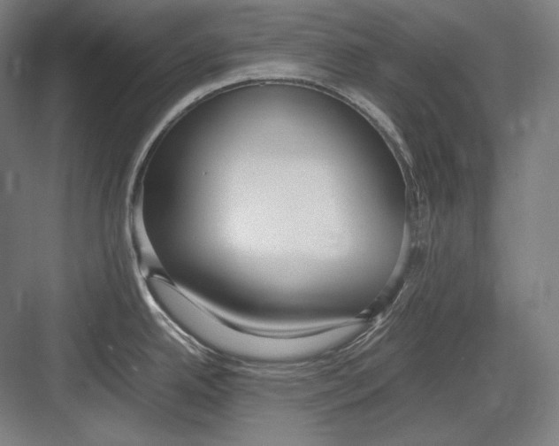 X0000082701342200702161740